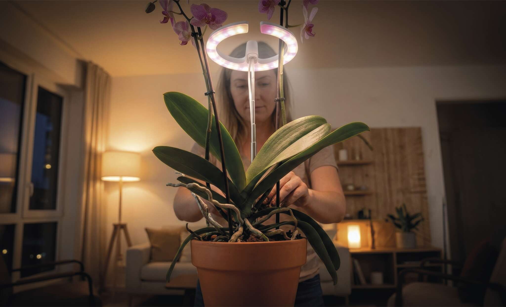 LED osvětlení na pěstování rostlin 2